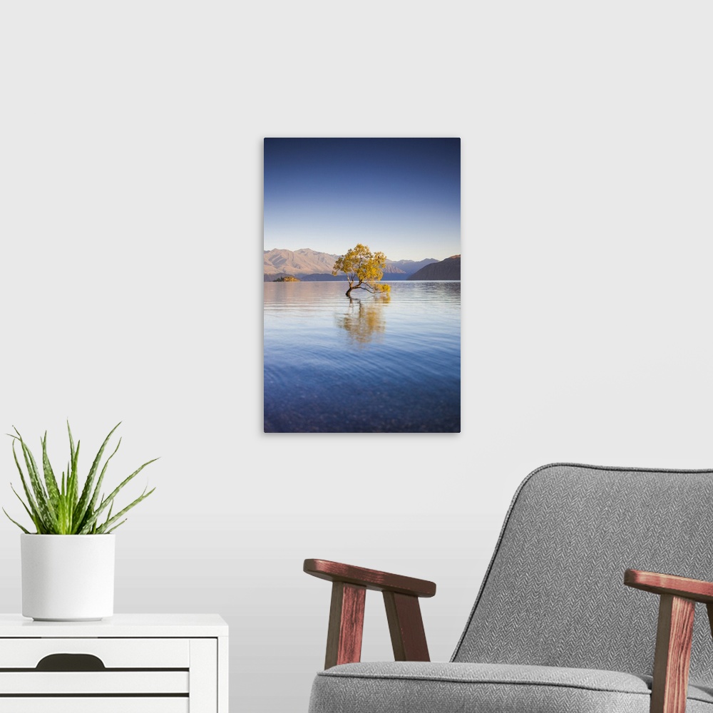 A modern room featuring New Zealand, South Island, Otago, Wanaka, Lake Wanaka, solitary tree, dawn