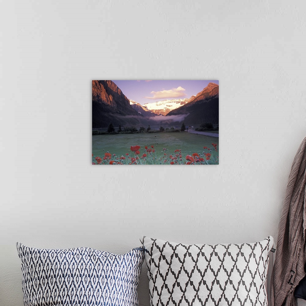 A bohemian room featuring North America, Canada, Alberta, Banff NP, Lake Louise morning and poppies