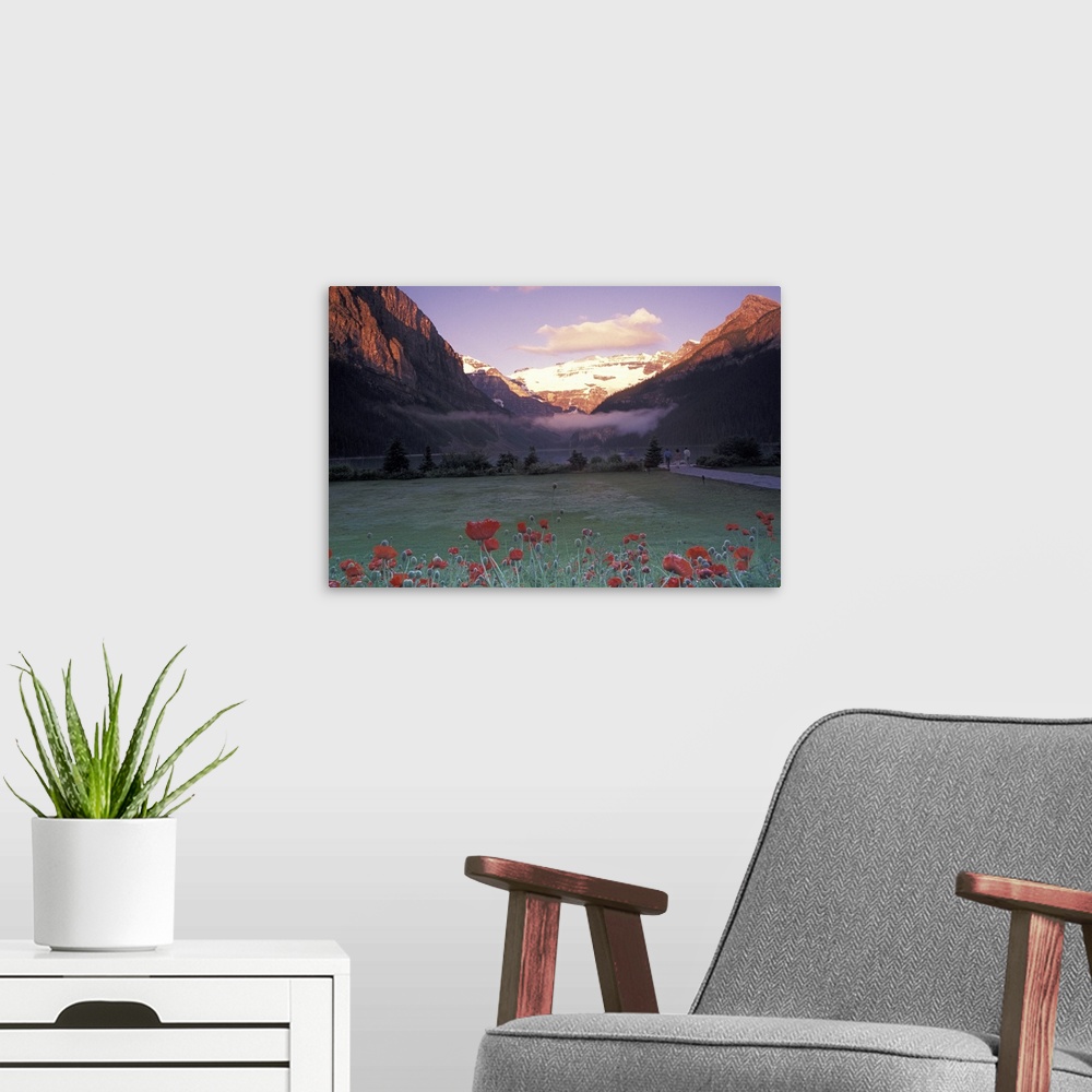 A modern room featuring North America, Canada, Alberta, Banff NP, Lake Louise morning and poppies