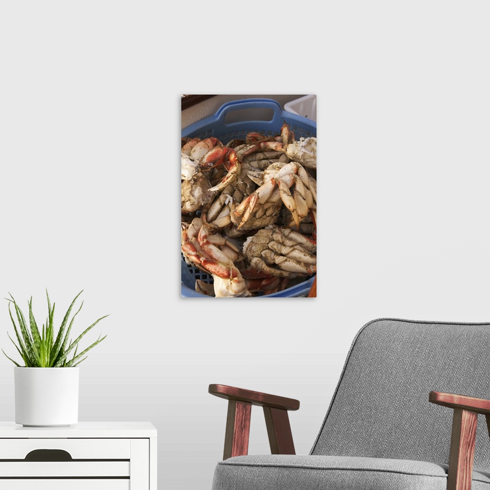 A modern room featuring North America, Canada, Queen Charlotte Islands, Dungeness cooked crab.