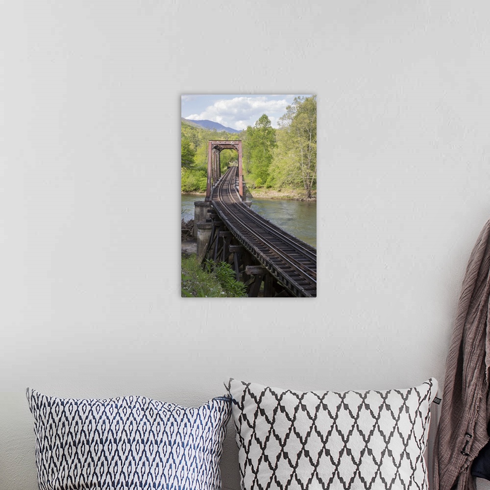 A bohemian room featuring USA, North Carolina. Abandoned railroad trestle spans river.