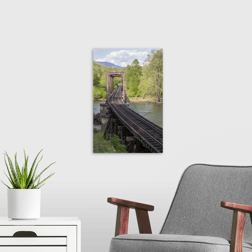 A modern room featuring USA, North Carolina. Abandoned railroad trestle spans river.