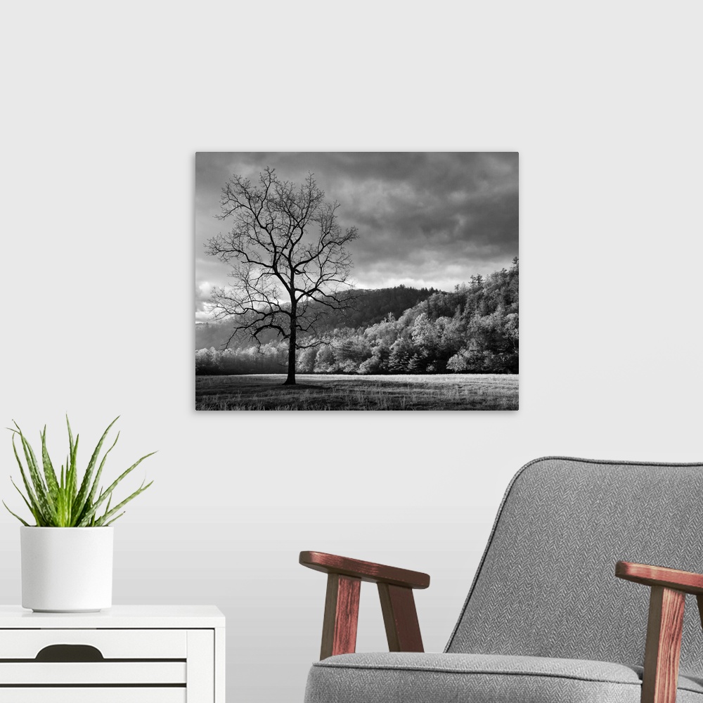 A modern room featuring USA, North Carolina, Great Smoky Mountains National Park, Storm clearing at dawn in Cataloochee V...