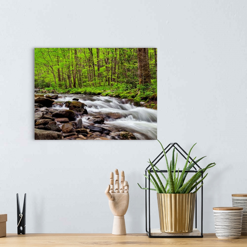 A bohemian room featuring USA, North Carolina, Great Smoky Mountains National Park, Water flows at Straight Fork near Cherokee