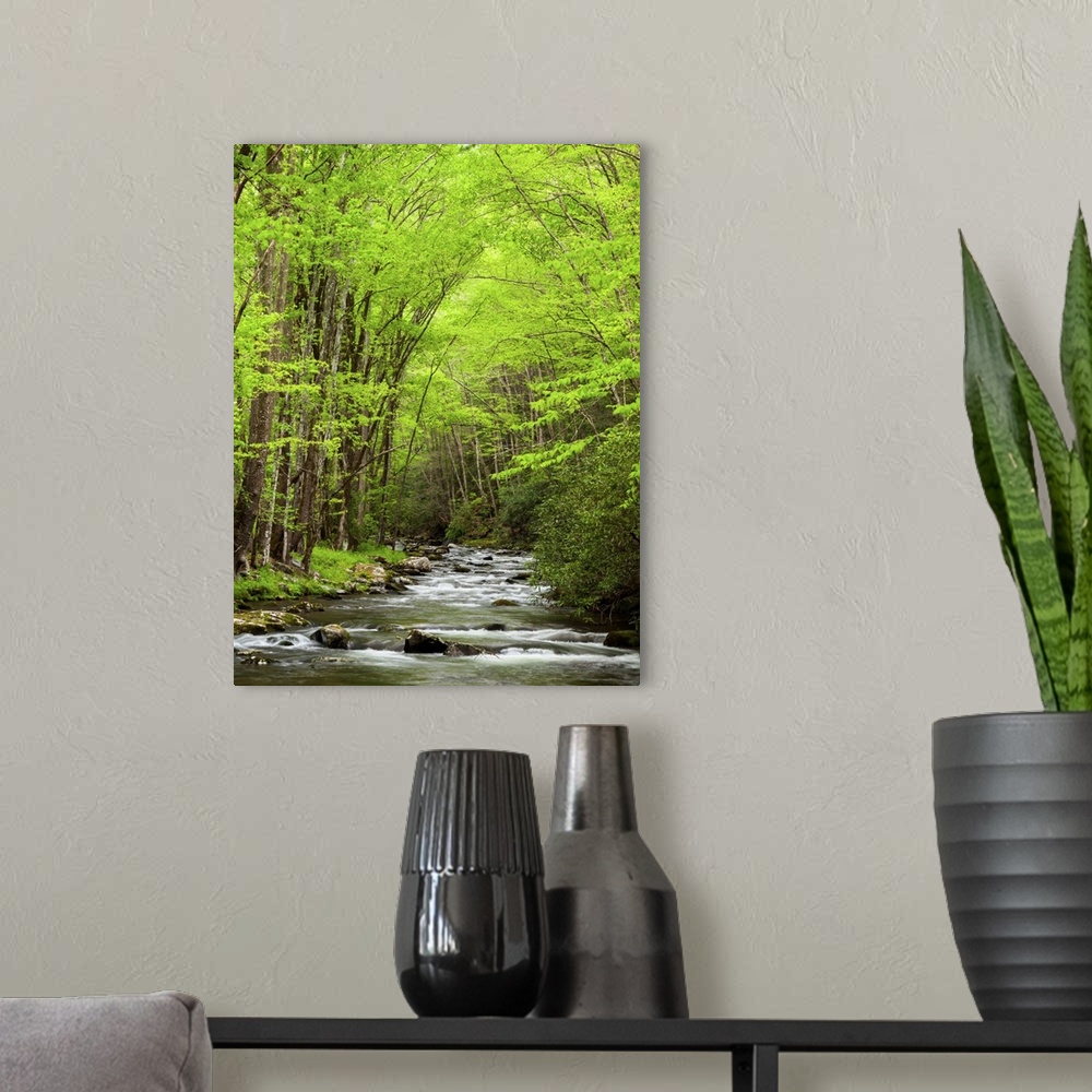 A modern room featuring USA, North Carolina, Great Smoky Mountains National Park, Straight Fork flows through forest