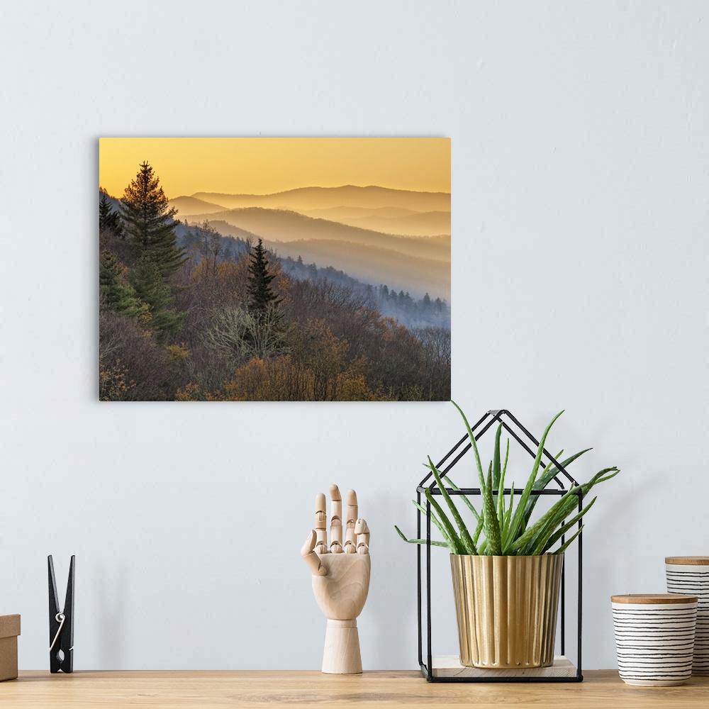 A bohemian room featuring USA, North Carolina, Great Smoky Mountains National Park, Sunrise from the Oconaluftee Valley ove...