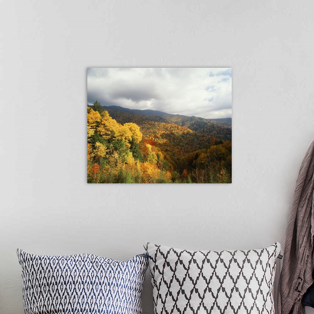 A bohemian room featuring USA, North Carolina, View of Great Smoky Mountains National Park in autumn from Thomas Ridge