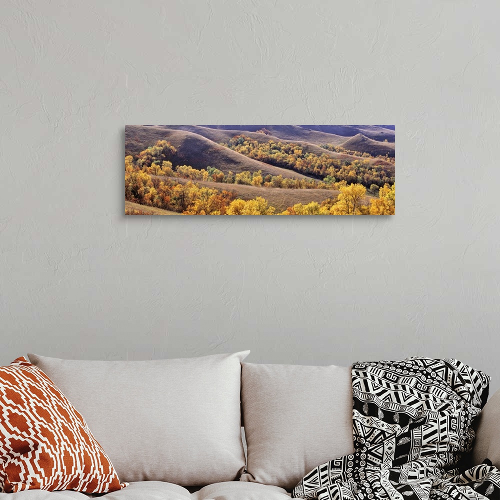 A bohemian room featuring USA, North Dakota, New Town. Cottonwoods in fall color fill the coulees near New Town in North Da...