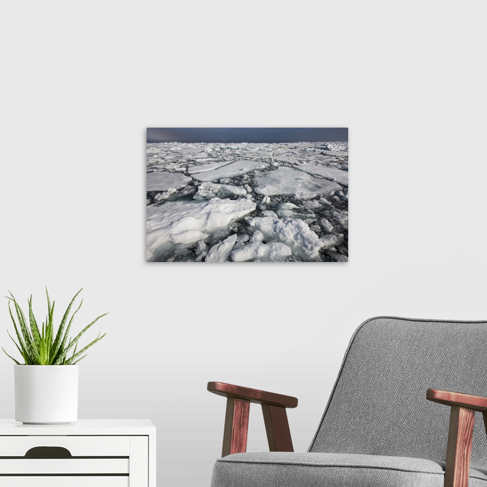 A modern room featuring Norway, Svalbard, Edgeoya Island, Dense first year pack ice on summer morning