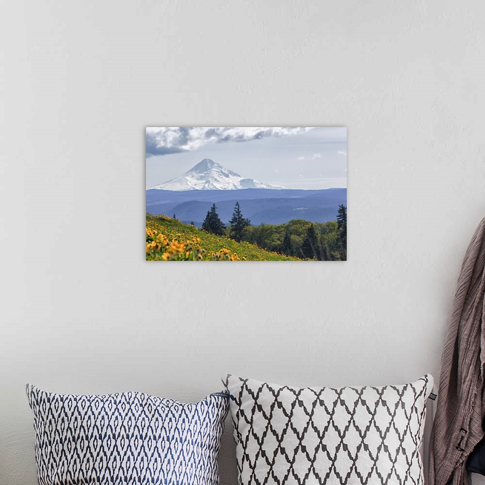 A bohemian room featuring Oregon, Columbia Gorge, Tom McCall Nature Preserve, Mt. Hood from McCall Point.