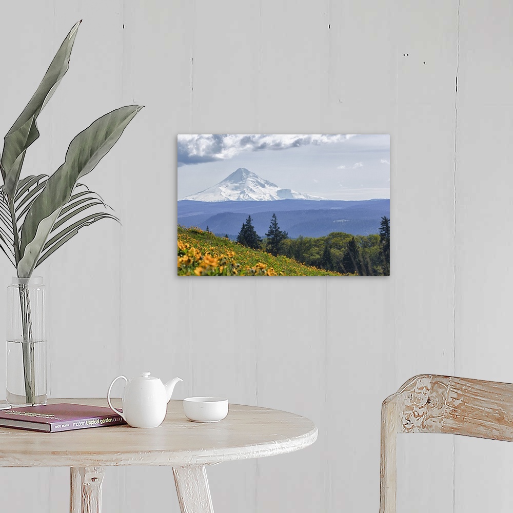 A farmhouse room featuring Oregon, Columbia Gorge, Tom McCall Nature Preserve, Mt. Hood from McCall Point.