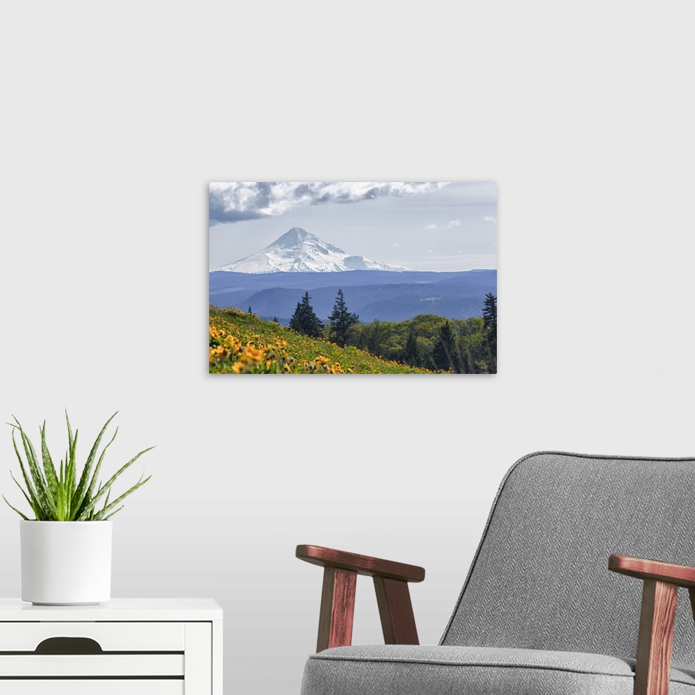 A modern room featuring Oregon, Columbia Gorge, Tom McCall Nature Preserve, Mt. Hood from McCall Point.