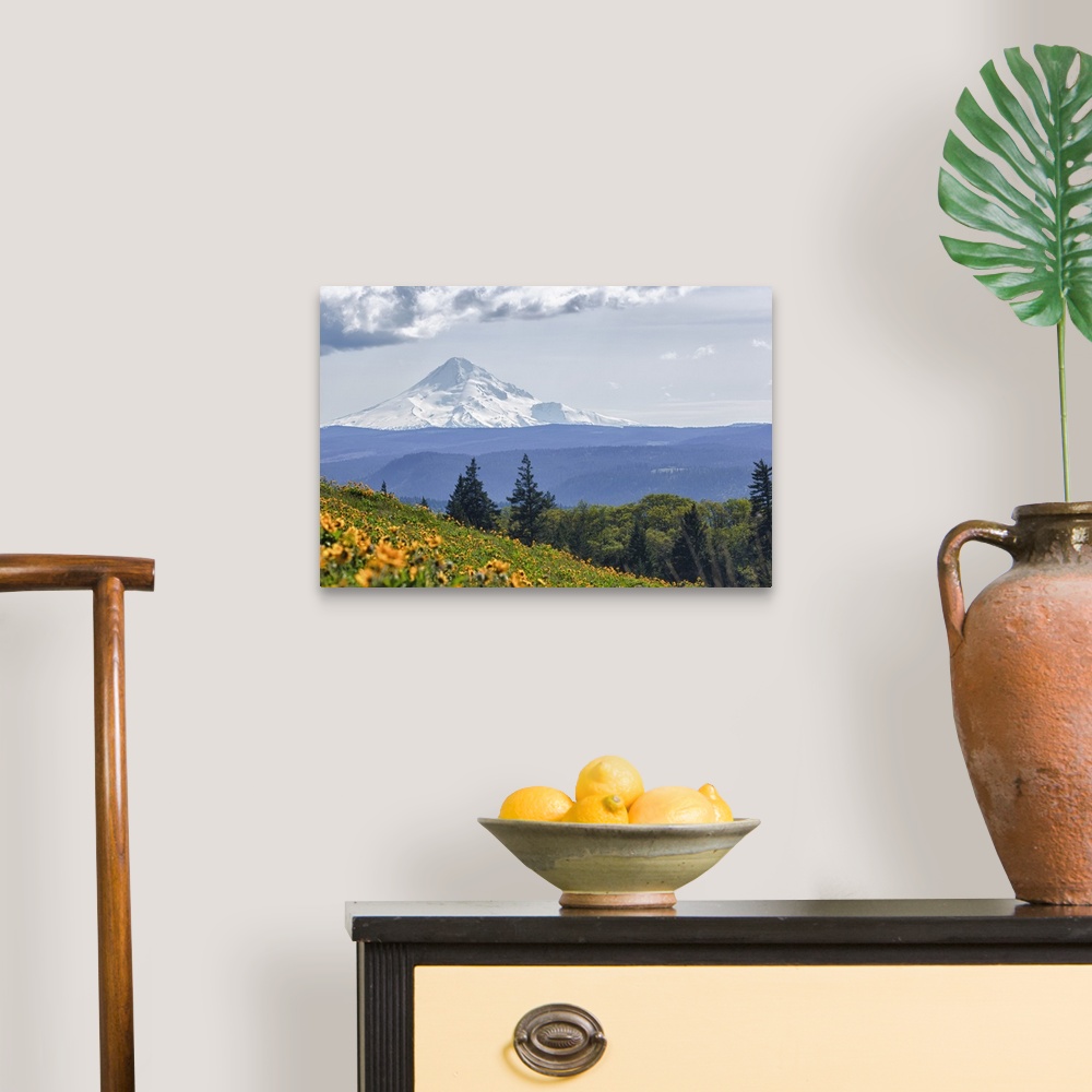 A traditional room featuring Oregon, Columbia Gorge, Tom McCall Nature Preserve, Mt. Hood from McCall Point.