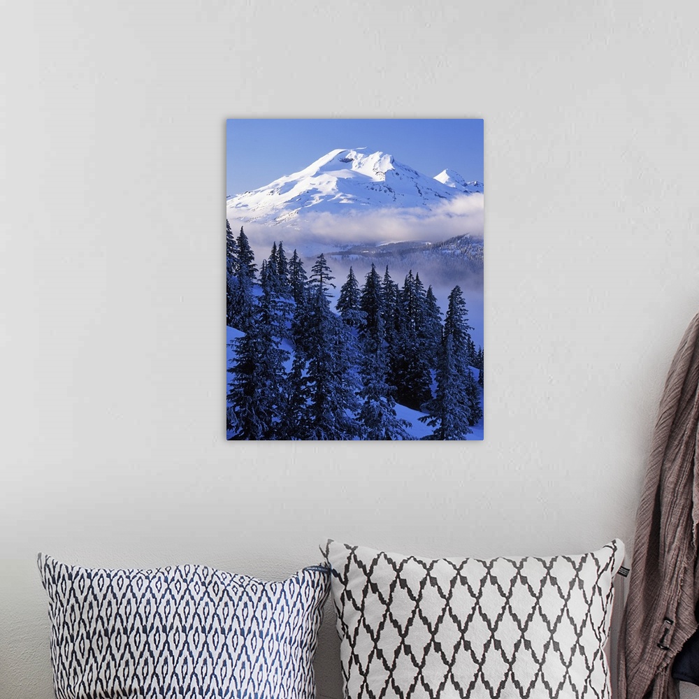 A bohemian room featuring USA, Oregon, Deschutes National Forest, South Sister