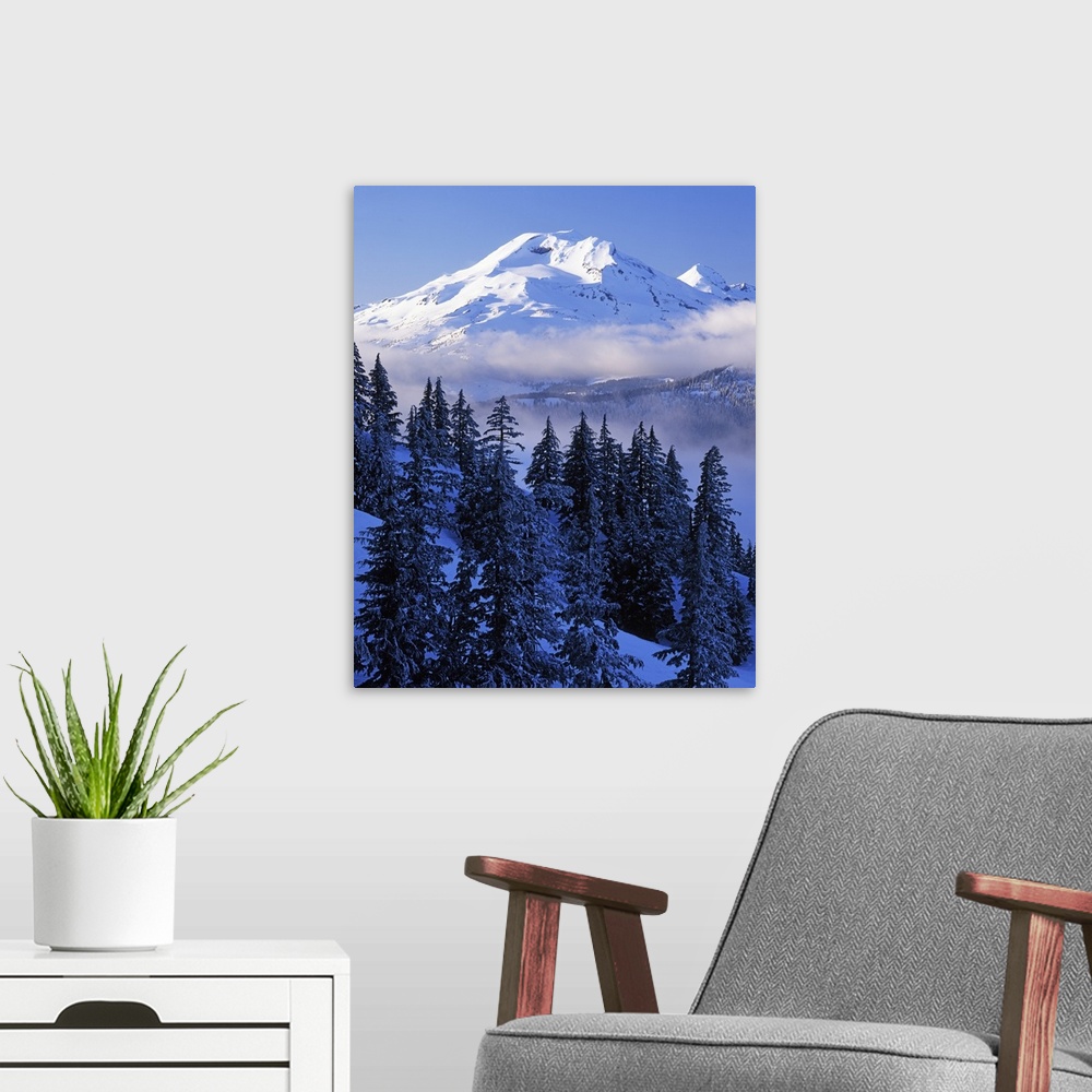 A modern room featuring USA, Oregon, Deschutes National Forest, South Sister