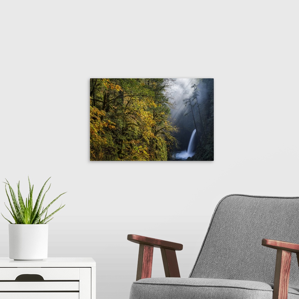 A modern room featuring USA, Oregon. Autumn fall color and sun-streaked mist at Metlako Falls on Eagle Creek in the Colum...