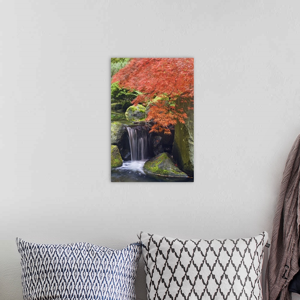 A bohemian room featuring USA, Oregon, Portland. Waterfall and Japanese maple at  Portland Japanese Garden.
