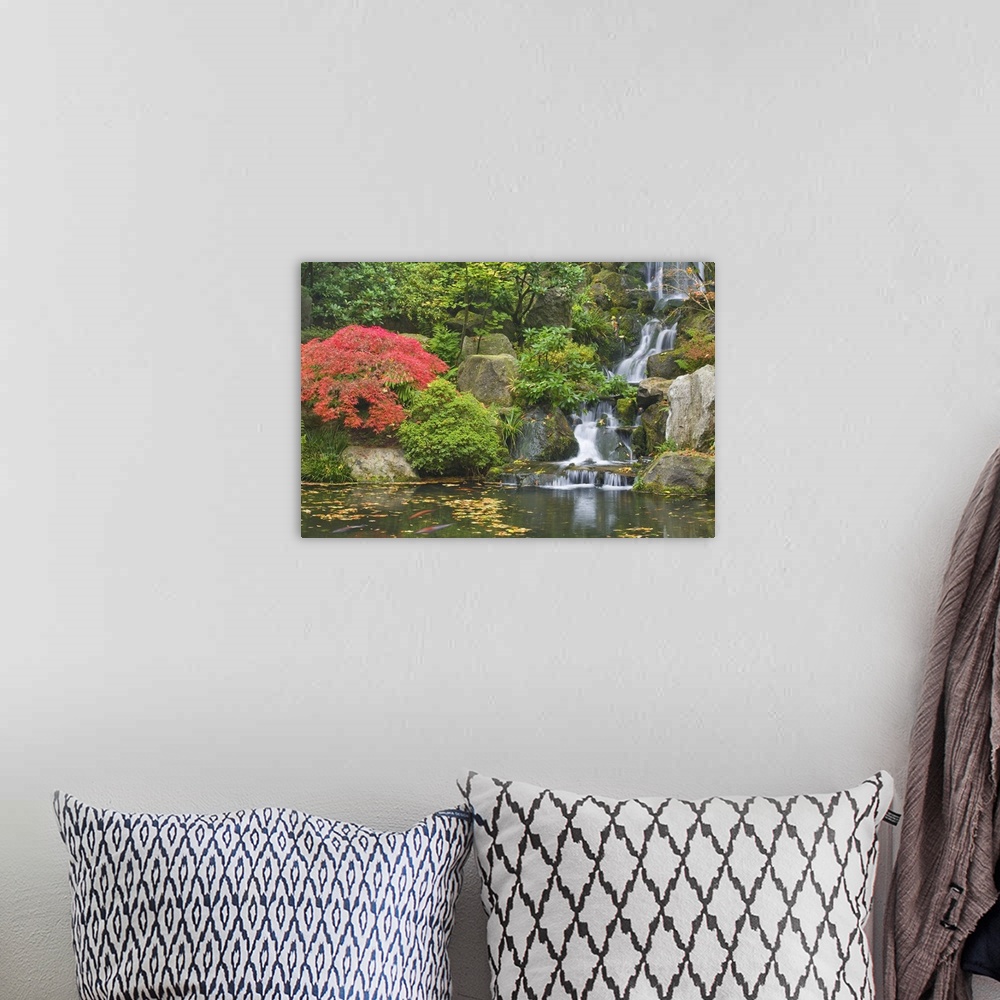 A bohemian room featuring USA, Oregon, Portland. Waterfall flows into koi pond at Portland Japanese Garden.