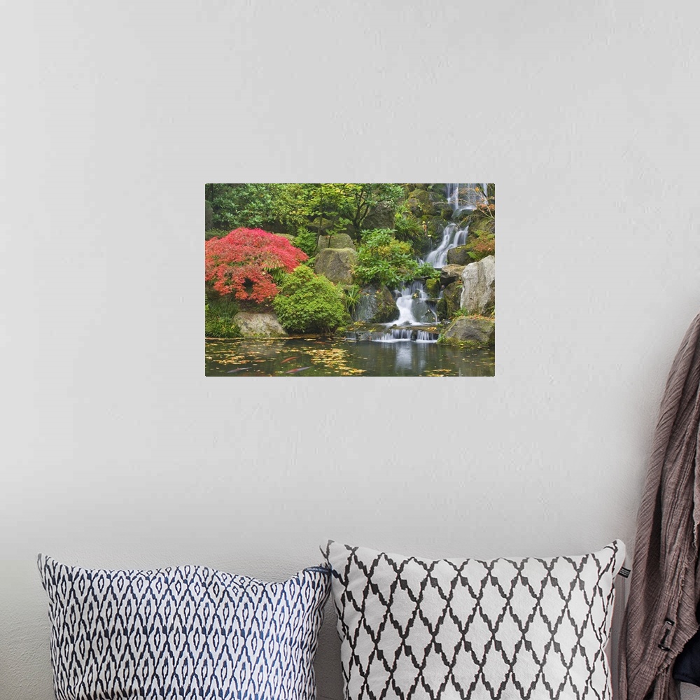 A bohemian room featuring USA, Oregon, Portland. Waterfall flows into koi pond at Portland Japanese Garden.