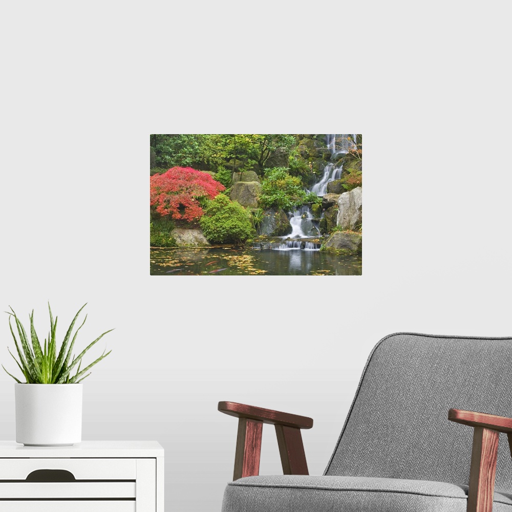 A modern room featuring USA, Oregon, Portland. Waterfall flows into koi pond at Portland Japanese Garden.