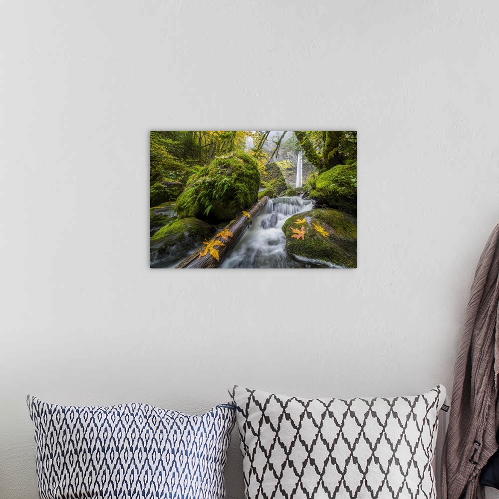 A bohemian room featuring USA, Oregon. View from below Elowah Falls on McCord Creek in autumn in the Columbia Gorge.
