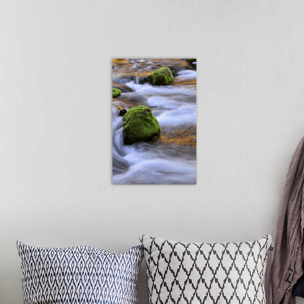 A bohemian room featuring USA, Oregon, Willamette National Forest. McKenzie River flowing over moss-covered rocks.