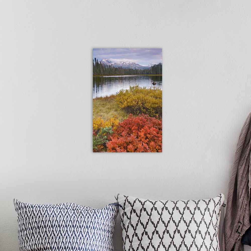 A bohemian room featuring USA, Oregon, Willamette National Forest. Scott Lake and Three Sisters Mountain.