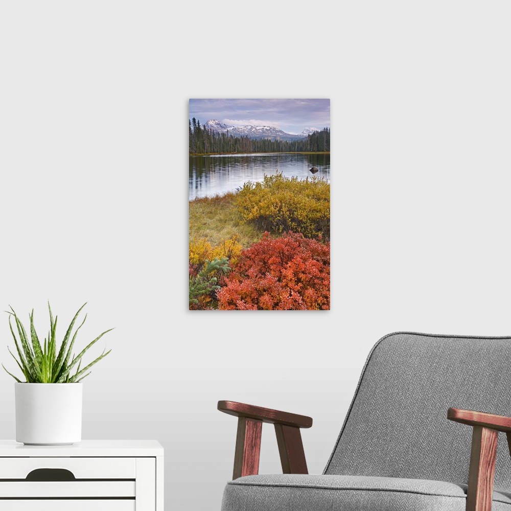 A modern room featuring USA, Oregon, Willamette National Forest. Scott Lake and Three Sisters Mountain.