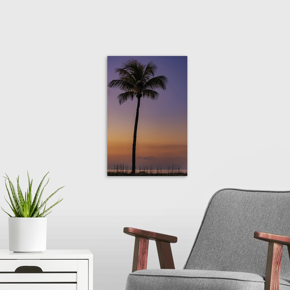 A modern room featuring Palm tree silhouetted against the sunrise on Sanibel Island, Florida, USA.