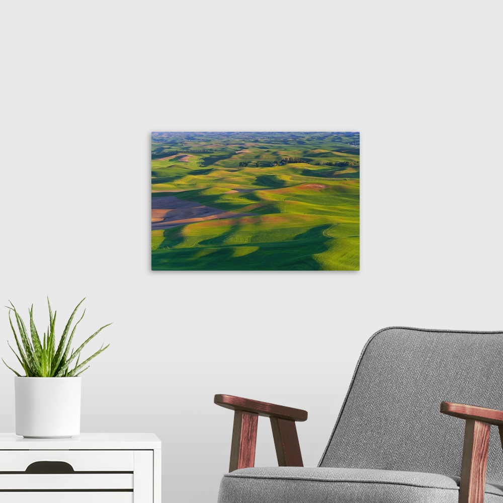 A modern room featuring A view of the Palouse farm lands from Steptoe Butte in Washington State.