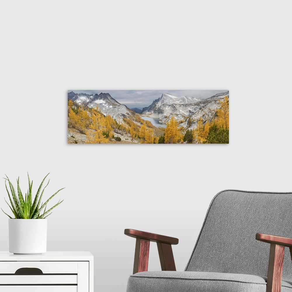 A modern room featuring Washington, Alpine Lakes Wilderness Enchantments. Panorama of golden larch (Larix lyallii) from P...