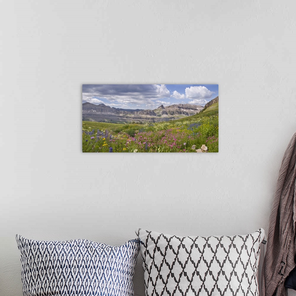 A bohemian room featuring Panoramic of Indian Paintbrush and monkey flowers, Alaska Basin, Idaho