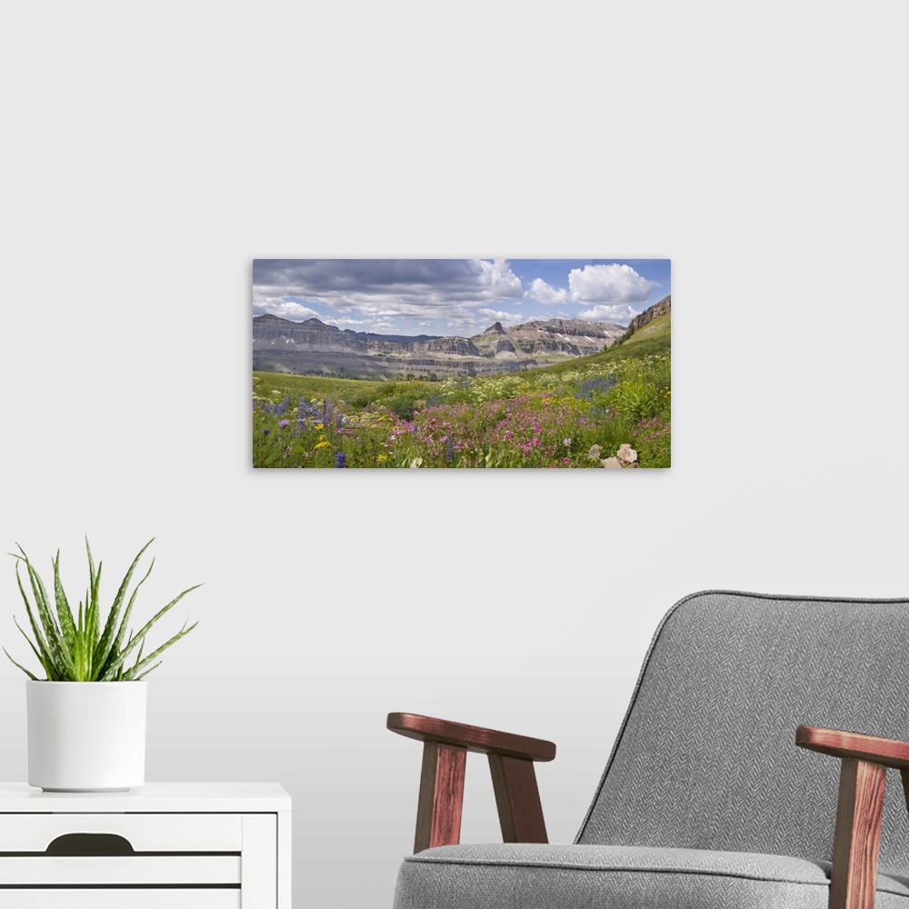A modern room featuring Panoramic of Indian Paintbrush and monkey flowers, Alaska Basin, Idaho