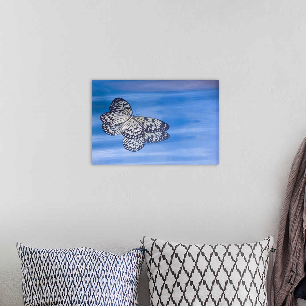 A bohemian room featuring Paper kite butterfly in reflection in blue water