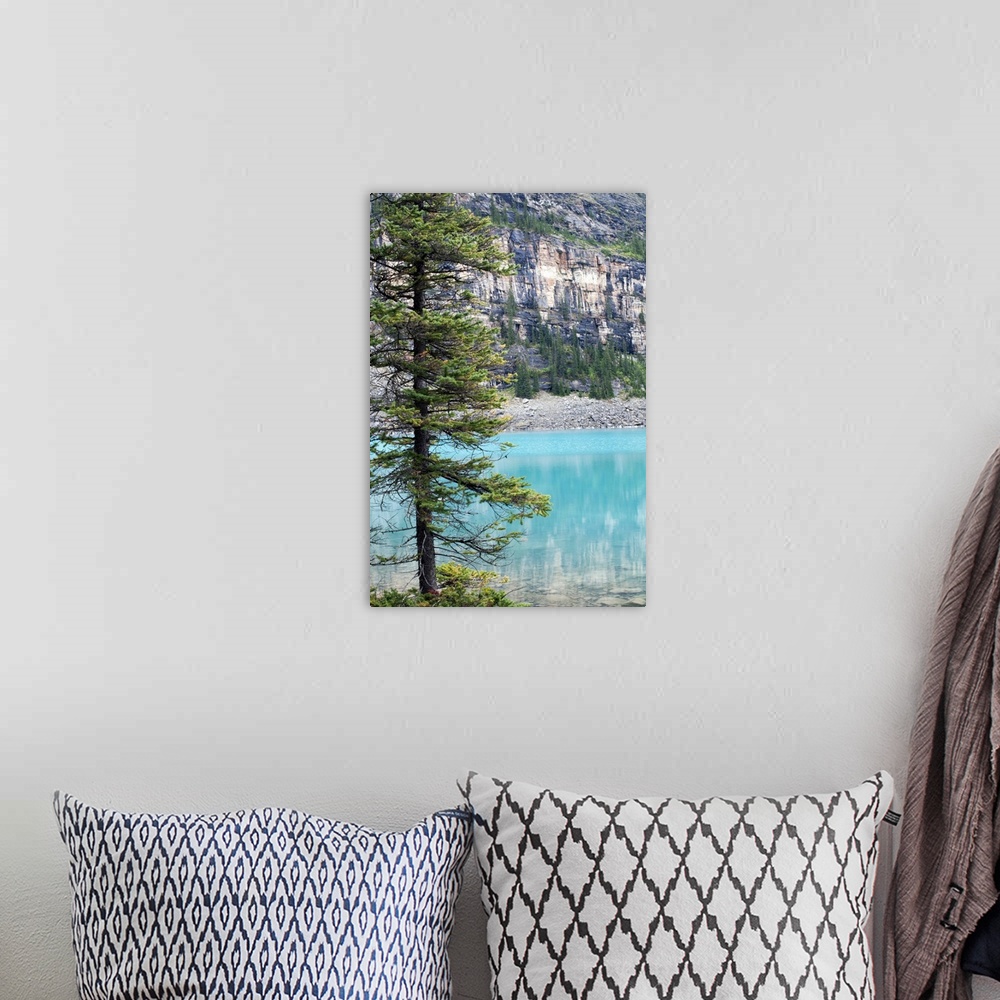 A bohemian room featuring Pine tree overlooking Moraine Lake, Banff National Park, Canada