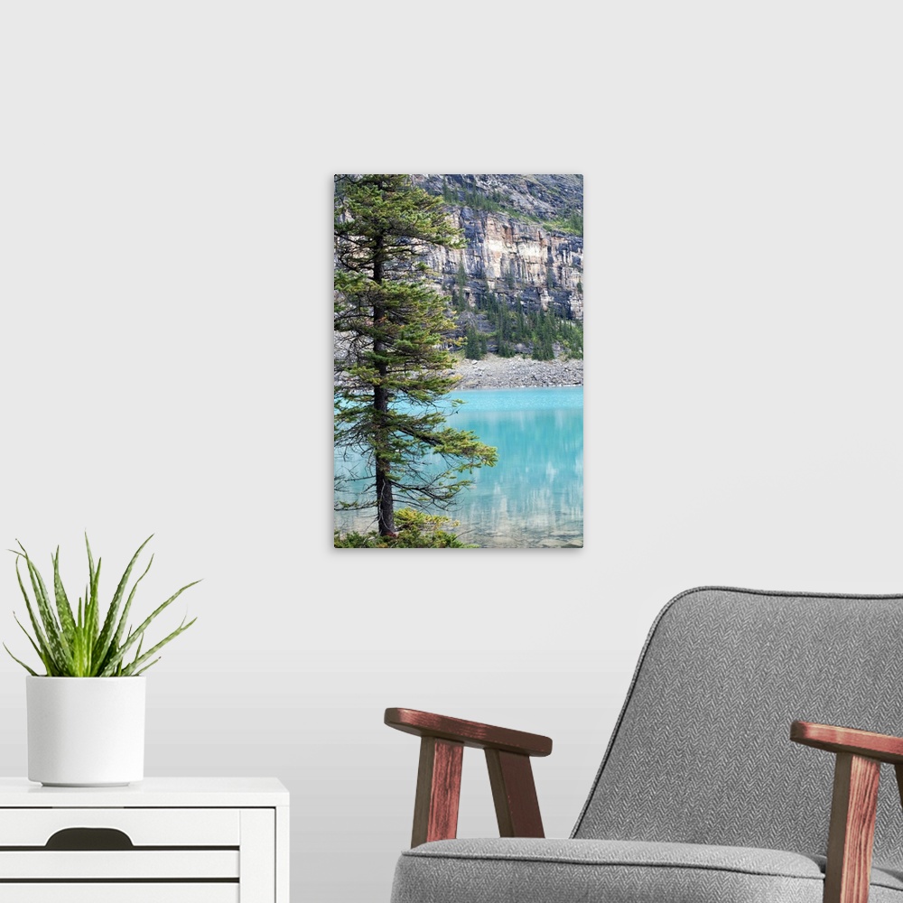A modern room featuring Pine tree overlooking Moraine Lake, Banff National Park, Canada