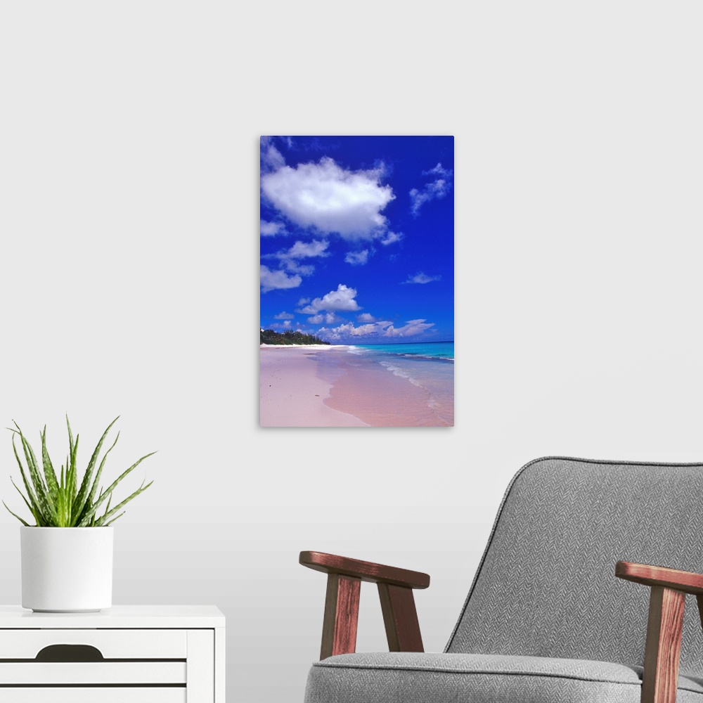 A modern room featuring Pink Sand Beach, Harbour Island, Bahamas.