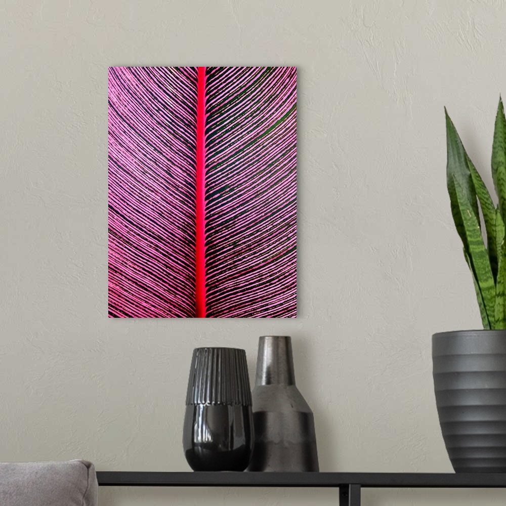 A modern room featuring Pink-Striped Heliconia (Heliconia iconia) HTBG, Hawaii