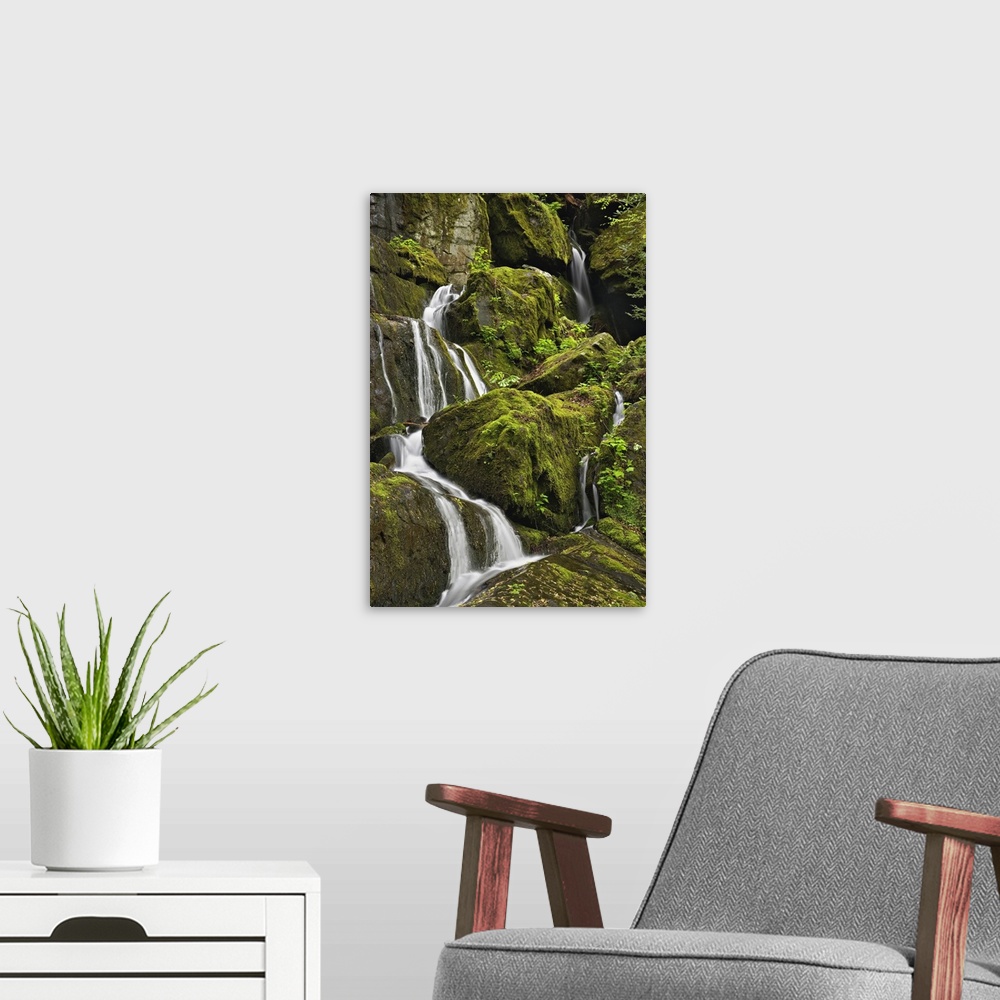 A modern room featuring Seasonal cascade, Place of a Thousand Drips, Great Smoky Mountains National Park, Tennessee.