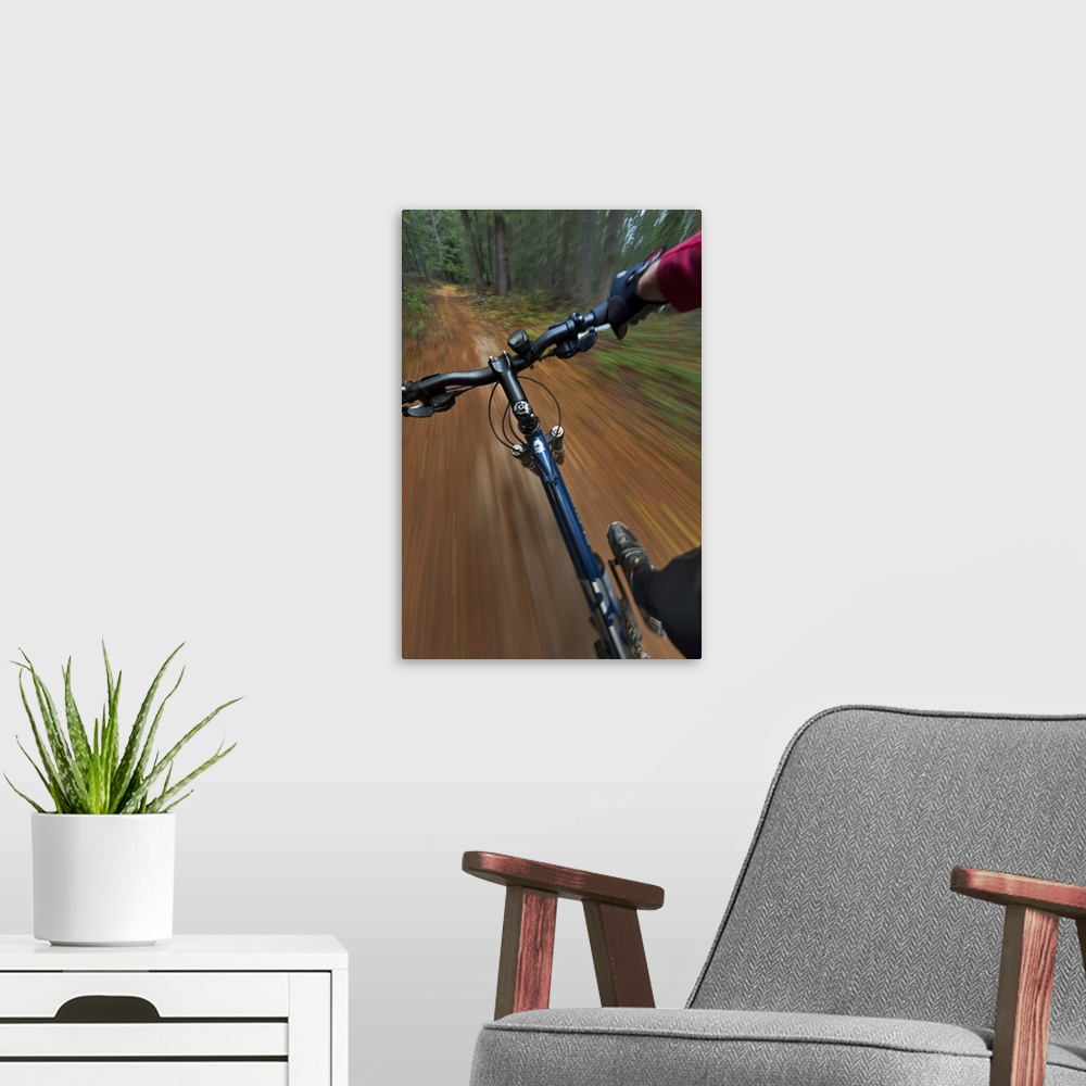 A modern room featuring Point of view of singletrack riding at the Pig Farm Trails near Whitefish, Montana, USA