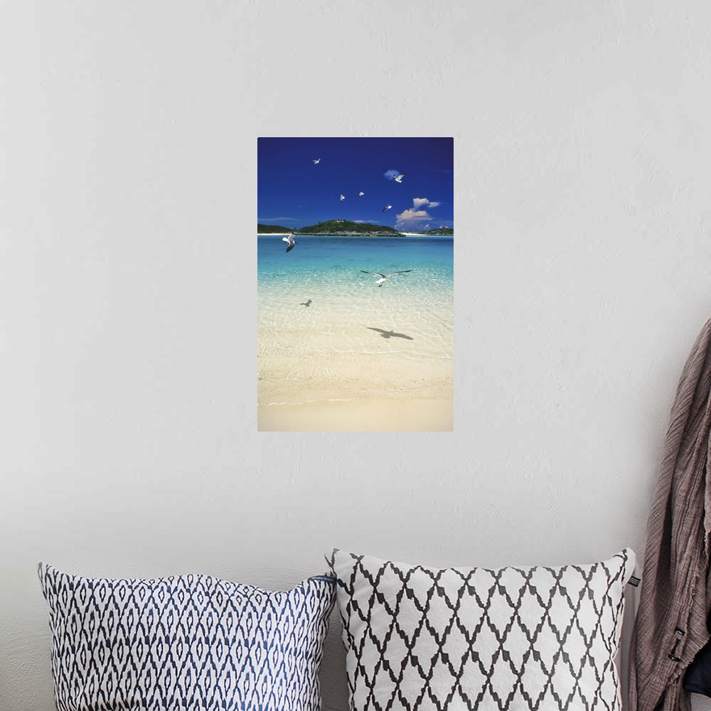 A bohemian room featuring Pristine beach, Exuma Islands, Bahamas.