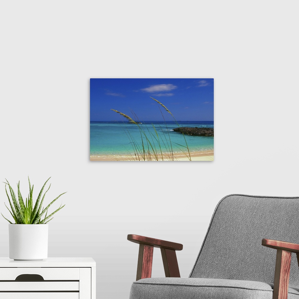 A modern room featuring Pristine beach, Long Island, Bahamas.