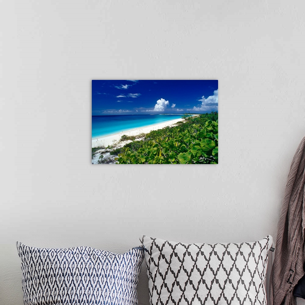 A bohemian room featuring Pristine beach on Conception Island, Long Island, Bahamas.