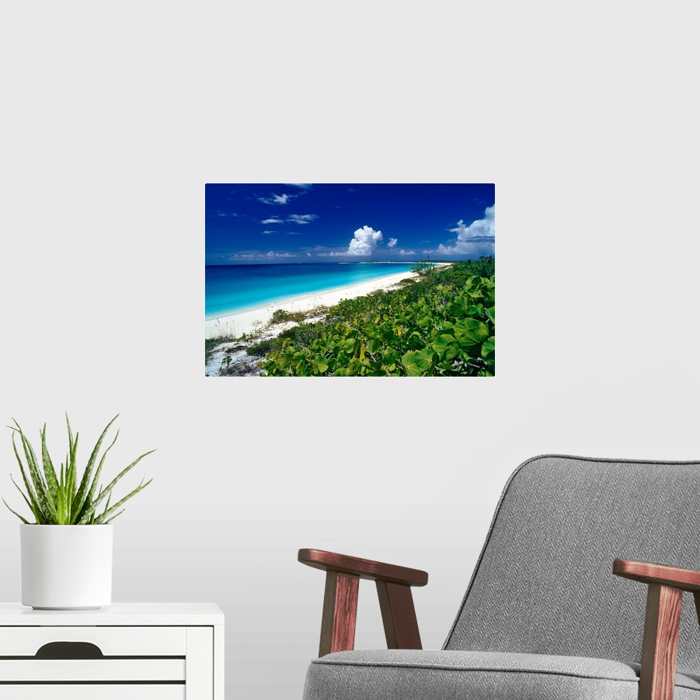 A modern room featuring Pristine beach on Conception Island, Long Island, Bahamas.