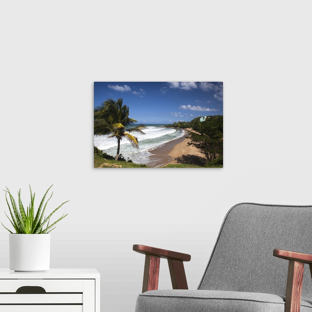 A modern room featuring Puerto Rico, West Coast, Rincon, Domes Beach