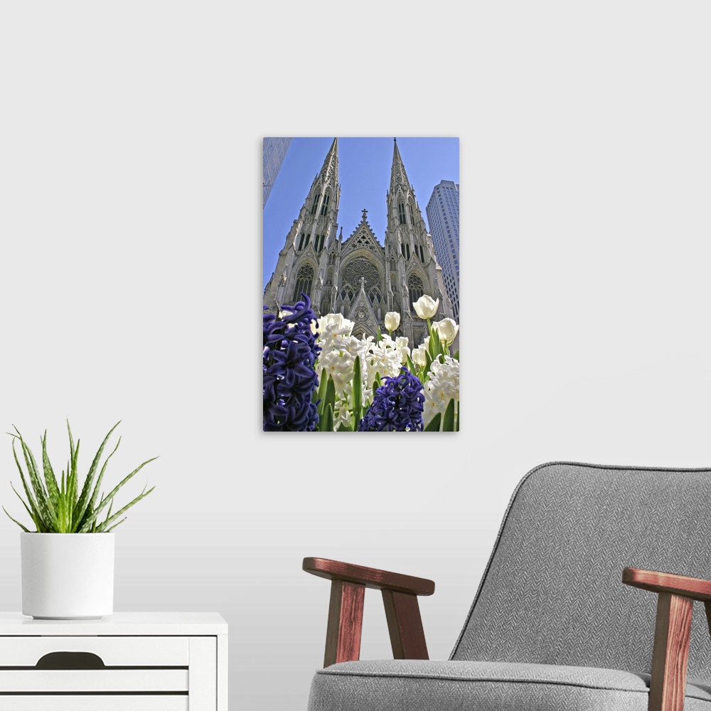 A modern room featuring Purple and white hyacinths St. Patrick's Cathedral New York City