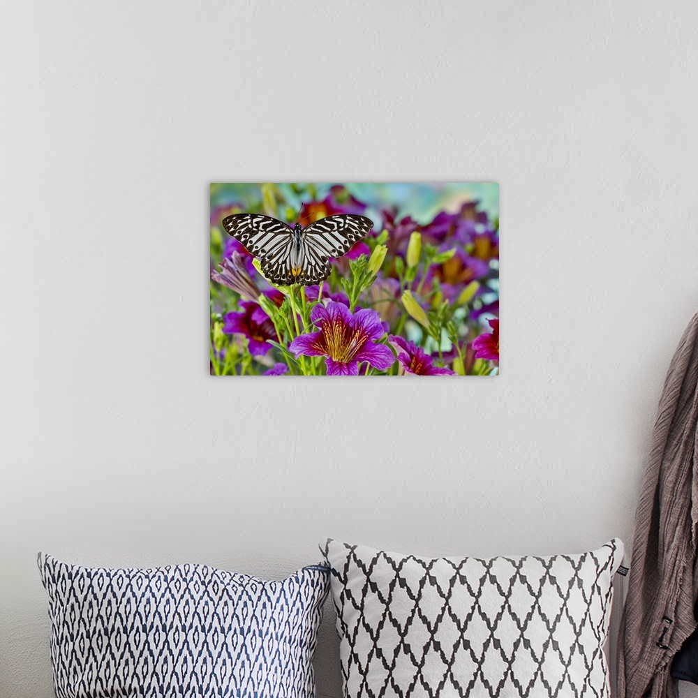 A bohemian room featuring Purple painted tongue flowers and black striped tropical butterfly.