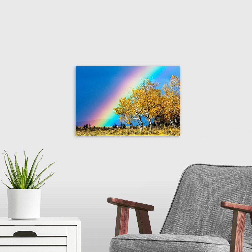 A modern room featuring Rainbow over Aspens, Grand Teton National Park, Wyoming