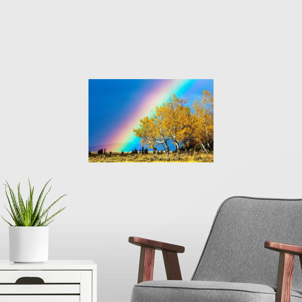 A modern room featuring Rainbow over Aspens, Grand Teton National Park, Wyoming