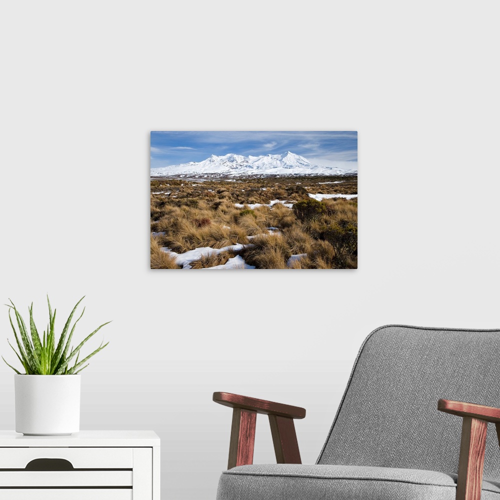 A modern room featuring Rangipo Desert and Mt Ruapehu, Central Plateau, North Island, New Zealand
